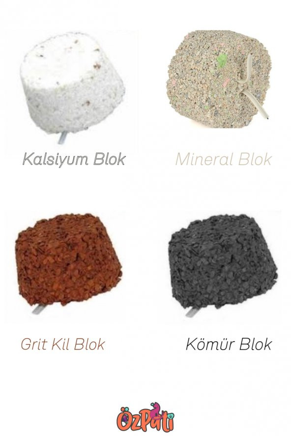 Kuş Kalsiyum / Kil / Kömür / Mineral Blok Set 4 Adet