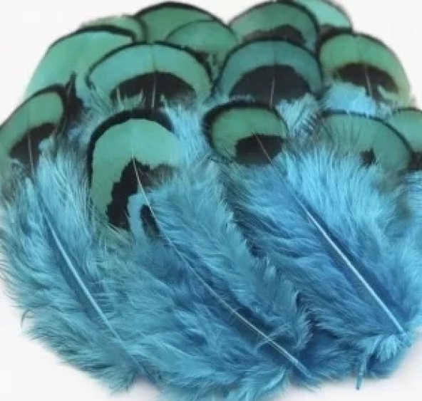 Doğal Sülün Şapka Tüyü Kahve Turkuaz