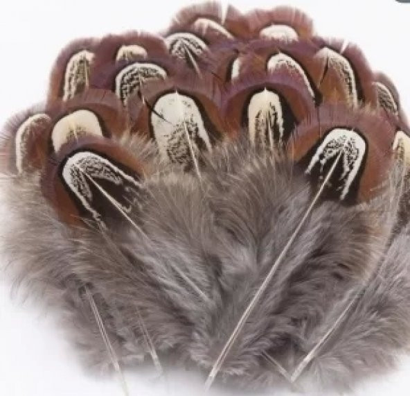 Doğal sülün şapka tüyü Kahve-Gri
