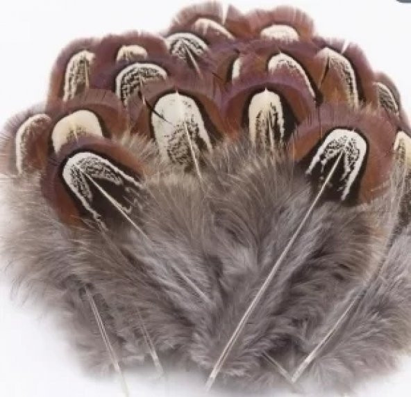 Doğal sülün şapka tüyü Kahve-Gri - 2