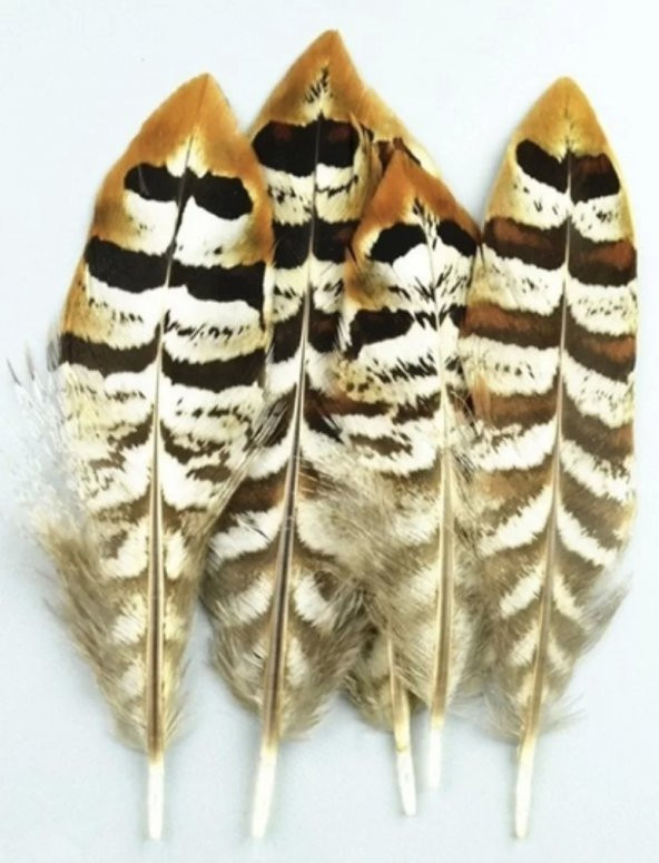 Doğal Sülün şapka tüyü Kahve-Gold