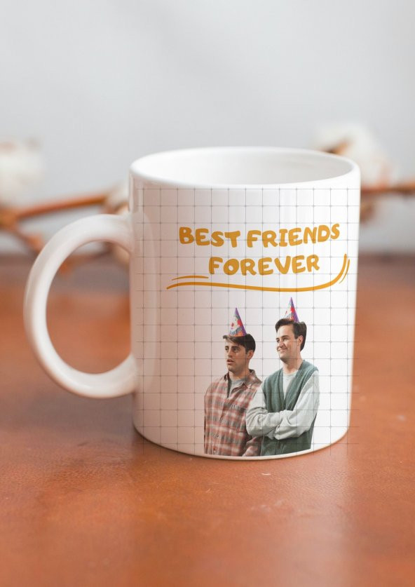 Friends Temalı Özel Tasarım Baskılı Kupa Bardak 001 Ross Geller - Resim 2
