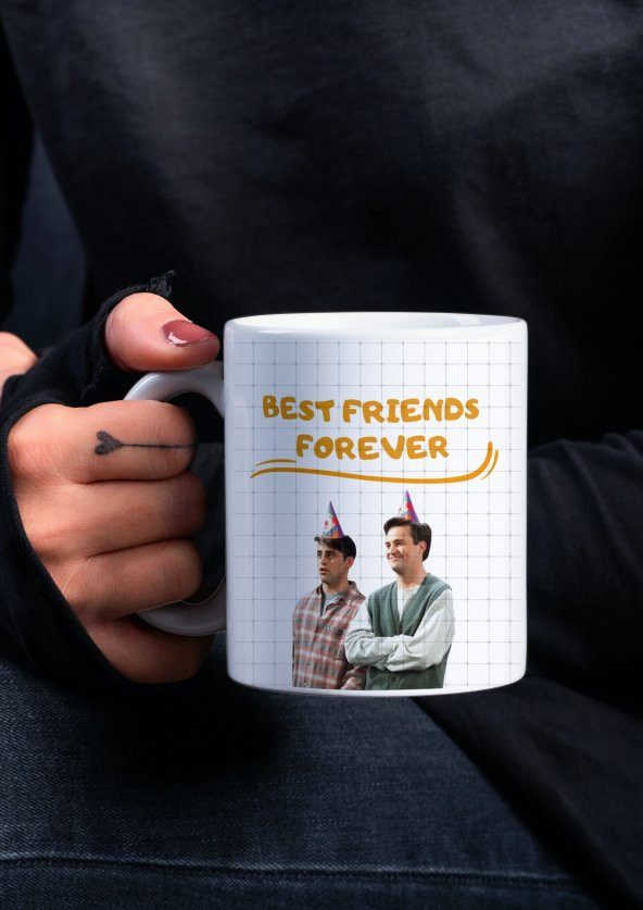 Friends Temalı Özel Tasarım Baskılı Kupa Bardak 001 Ross Geller ürün görseli 1