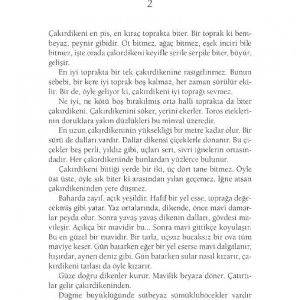 İNCE MEMED 1 -2 -3 -4 (DELTA) 9.BASKI - 9