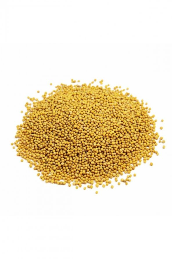 sarı hardal tohumu 300 gr
