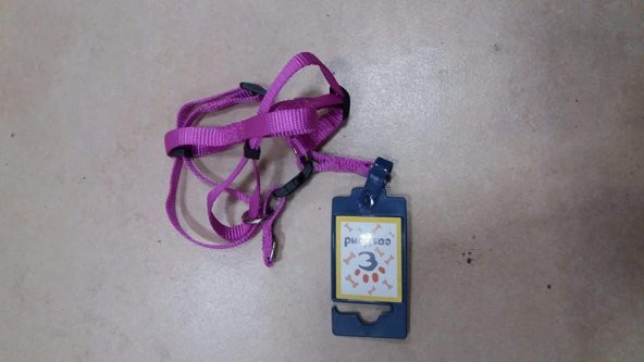 Eastland Küçük Ayarlanır Köpek Göğüs Tasma S - 4
