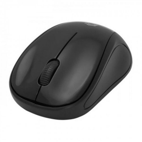 FRISBY FM-260WM KABLOSUZ MOUSE,SİYAH - 2