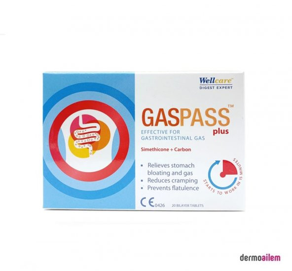 Wellcare Gaspass Plus 20 Tablet
