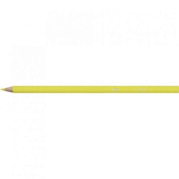 BİC TROPICOLOR2 BOYA KALEMİ 24 LÜ - 5