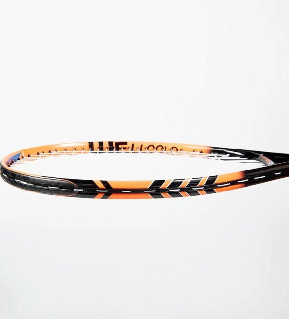 Werkon Yüksek Kalite Düşük Sarsılma Pro Tenis Raketi 25 Inch L1 Taşıma Çantası - 2