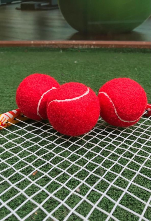 Werkon 3 Adet Antrenman Tenis Topu Kırmızı