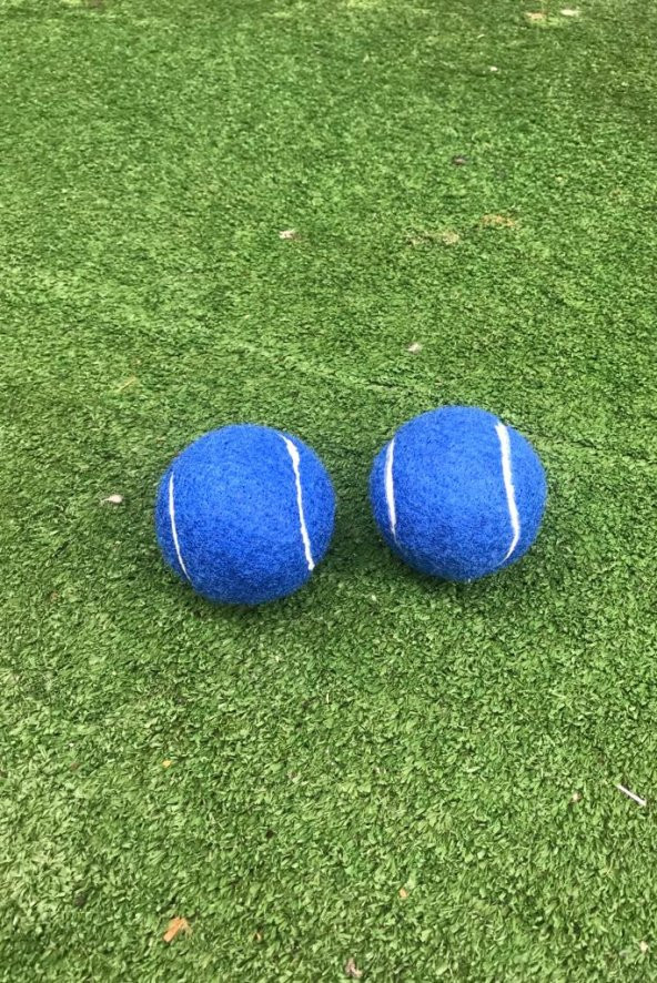 Werkon 2 Adet Antrenman Tenis Topu Mavi - 2