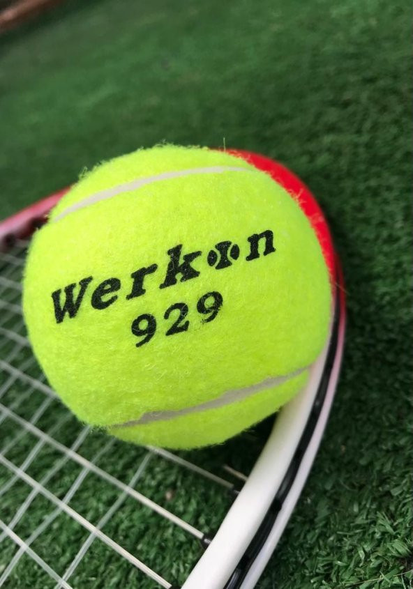 Werkon 1 Adet Antrenman Tenis Topu Sarı
