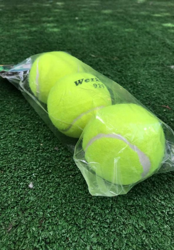 Werkon 3 Adet Antrenman Tenis Topu Sarı - 3