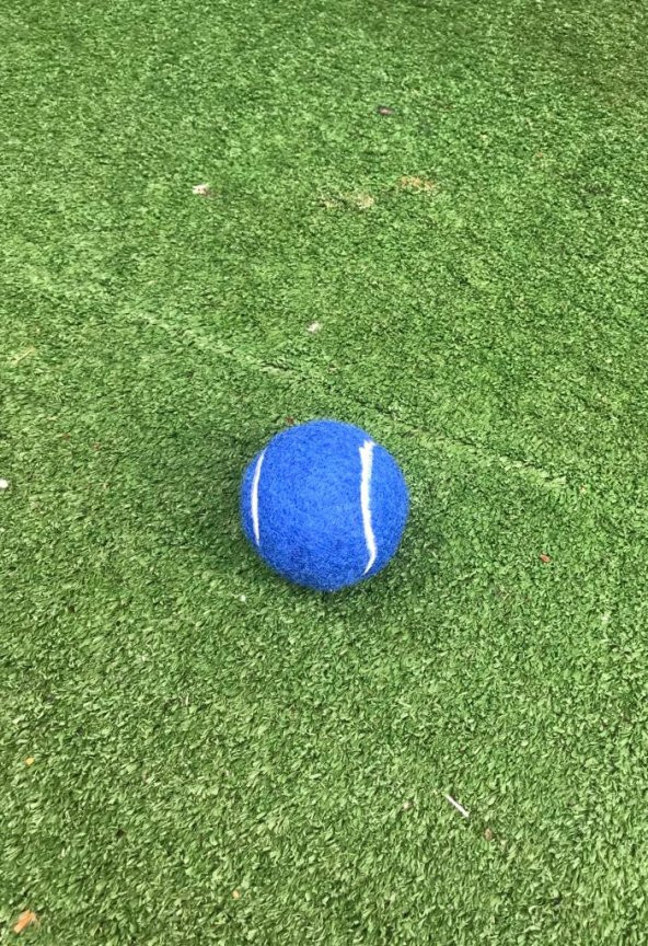 Werkon 1 Adet Antrenman Tenis Topu Mavi - 3