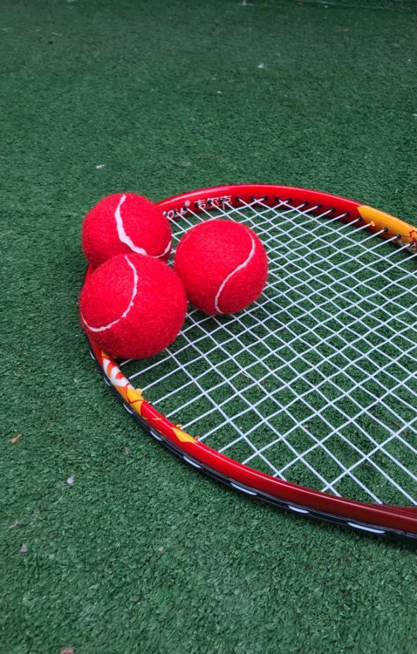 Werkon 3 Adet Antrenman Tenis Topu Kırmızı - 4