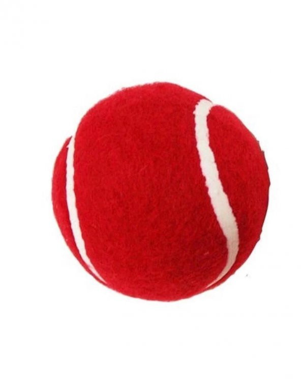 Werkon 1 Adet Antrenman Tenis Topu Kırmızı - 5