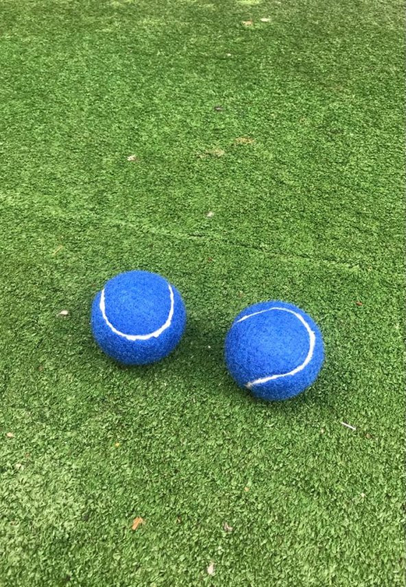 Werkon 2 Adet Antrenman Tenis Topu Mavi - 4