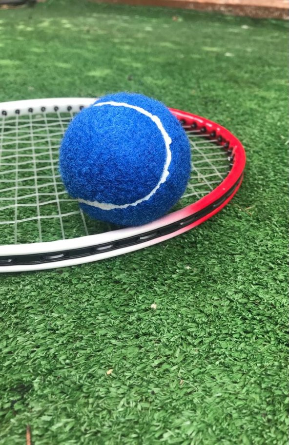 Werkon 3 Adet Antrenman Tenis Topu Mavi - 2