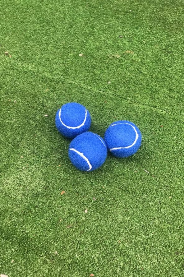 Werkon 3 Adet Antrenman Tenis Topu Mavi - 3