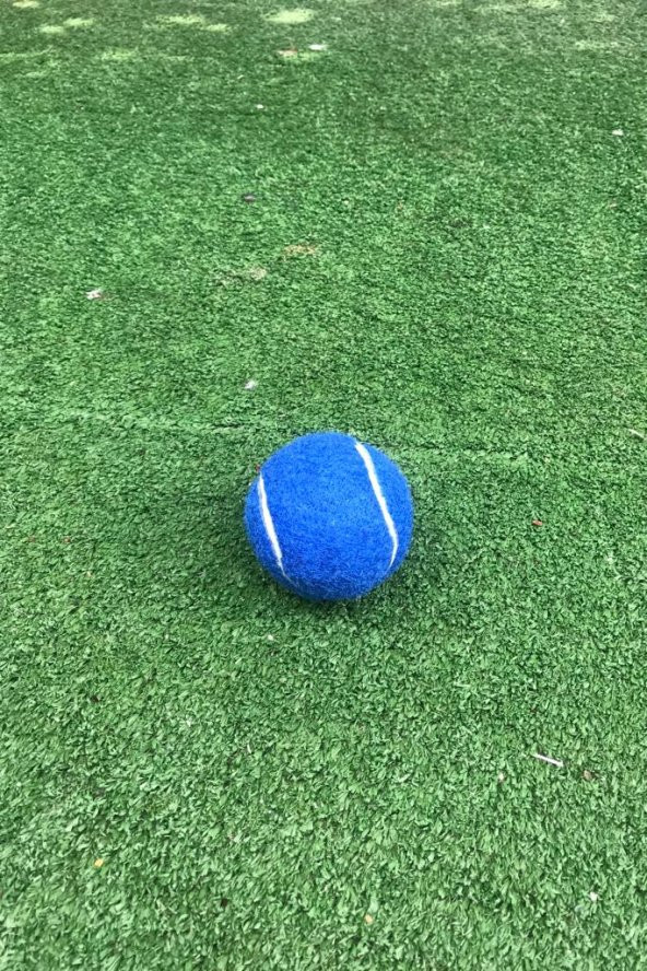 Werkon 3 Adet Antrenman Tenis Topu Mavi - 6