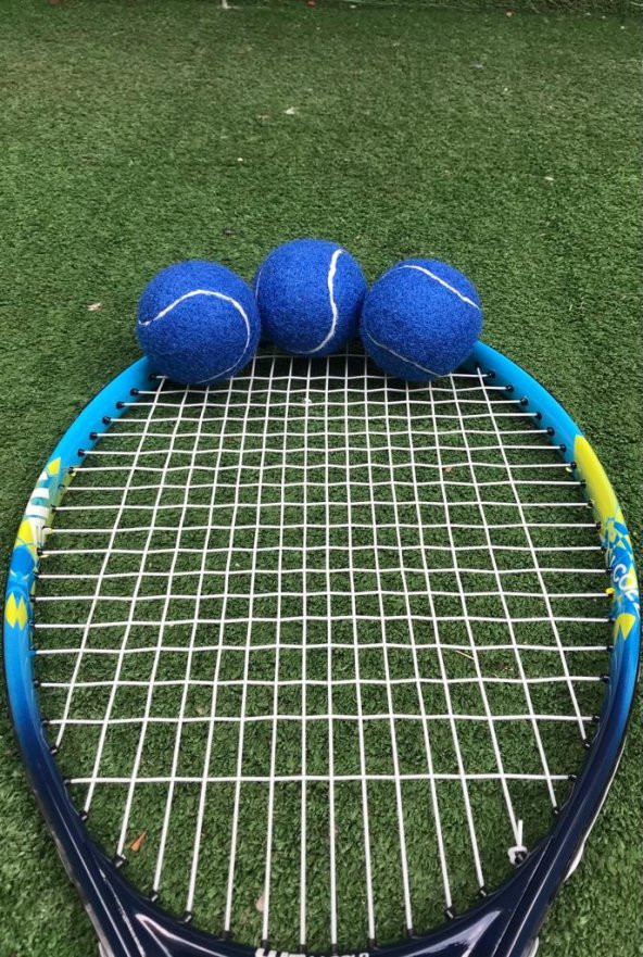 Werkon 3 Adet Antrenman Tenis Topu Mavi - 7