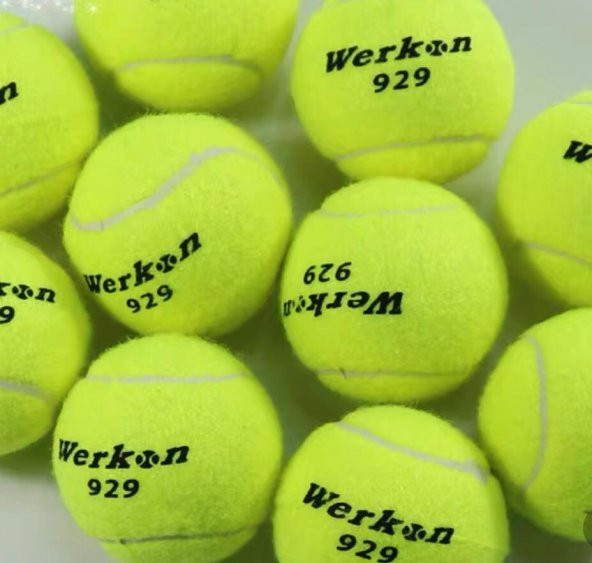 Leyaton Tenis Topu Fileli 12li Sarı LYTLP33 - 3