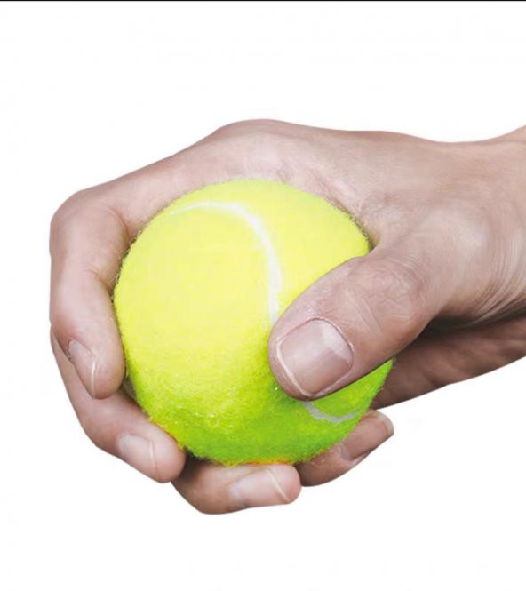 Leyaton Tenis Topu Fileli 12li Sarı LYTLP33 - 5