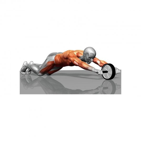 Leyaton Fitness Tüm Vücut Çalıştırma Aleti Kol Omuz Göğüs Karın Egzersiz Tekerlek Mat Hediyeli - 4