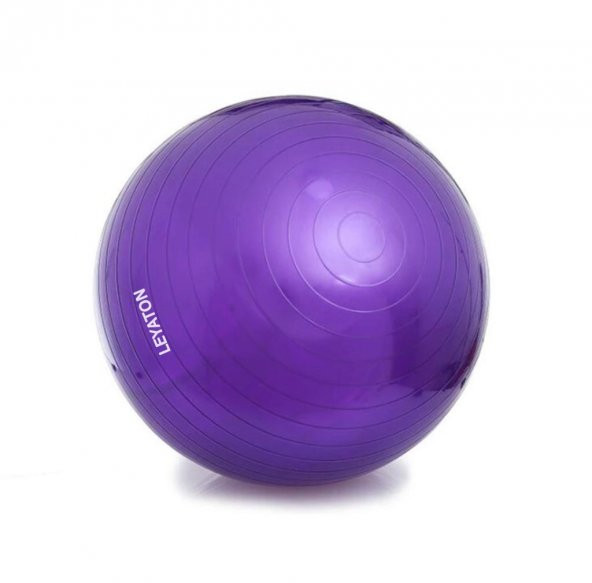 Leyaton Pilates Topu 55 cm Pompa Hediyeli Fitness Pilates Spor