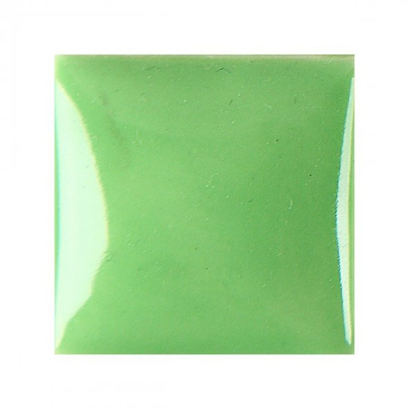 Duncan In1061 Lıght Kelp 118 ml - 1