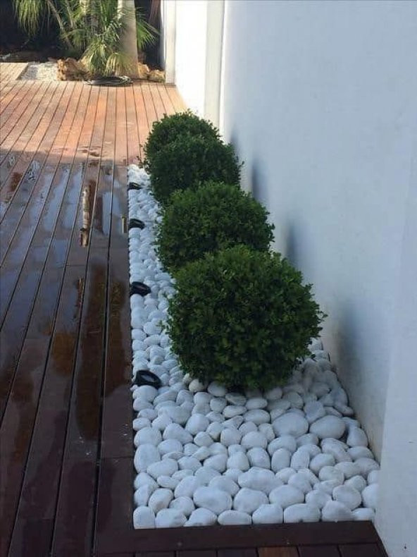 T-May Beyaz Dolomit Taşı 15 Kg 4-6 Cm Bahçe Süsü, Ve Akvaryum Dekorasyonu Için Dere Çakılı - 3