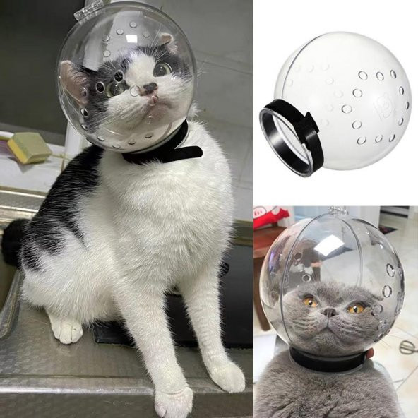 Lavimo Kedi Bakım Küresi - 3