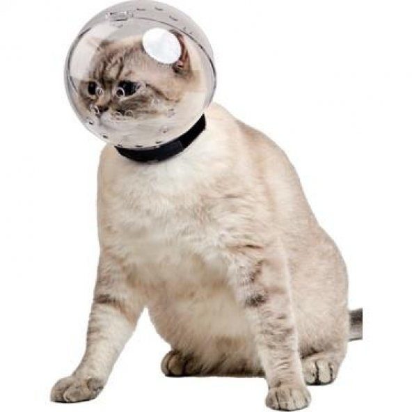 Lavimo Kedi Bakım Küresi - 4