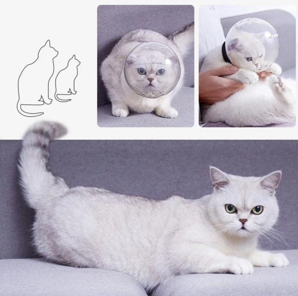 Lavimo Kedi Bakım Küresi - 5