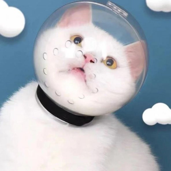 Lavimo Kedi Bakım Küresi - 7