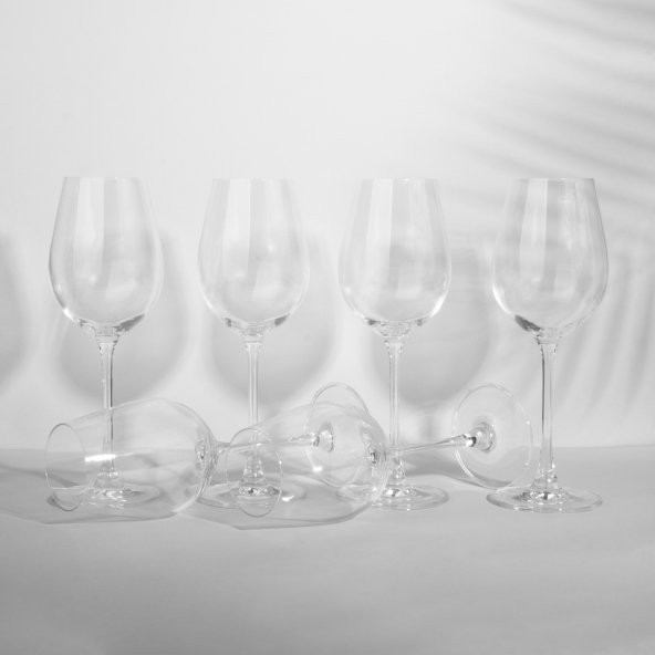 Ocuisine Columba Beyaz Şarap Kadehi 6’lı 400 Ml