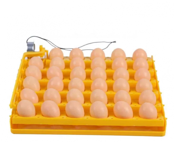 Elif 35 li Motorlu Gelişim viyolu