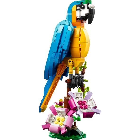 LEGO Creator 31136 Exotic Parrot - 3