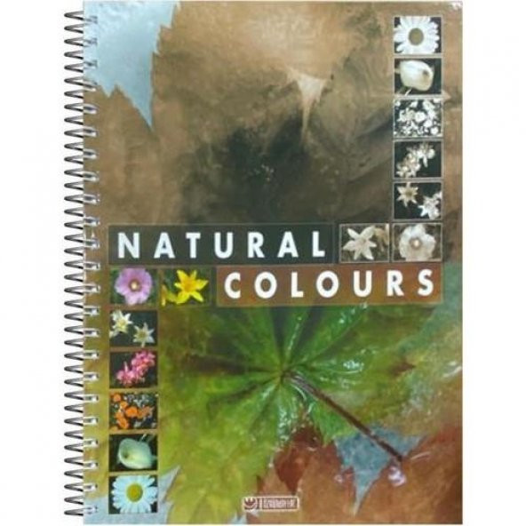 Özgün Naturel Color 17 X 24 Sert Kapak Spiralli Defter