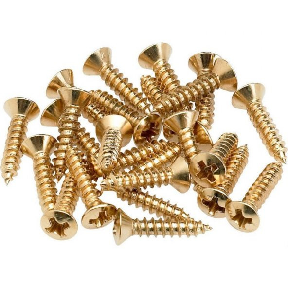 Fender Pickguard/Control Plate Mounting Screws 24 Gold Gitar Yedek Parça