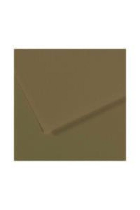 Canson Fon Kartonu (Dokulu) Mı-Teıntes Sh Canmt 50x65 160 GR Grn (10 lu) 191