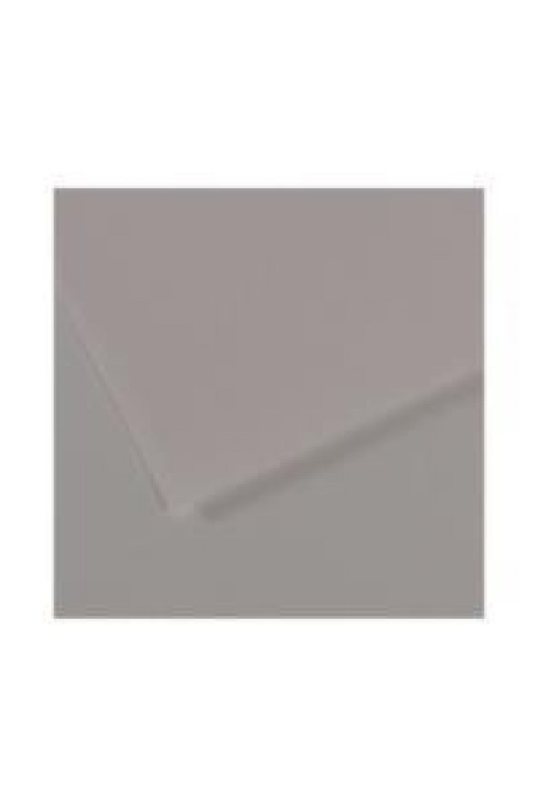 Canson Fon Kartonu (Dokulu) Mı-Teıntes Sh Canmt 50x65 160 GR Grey (10 lu) 186
