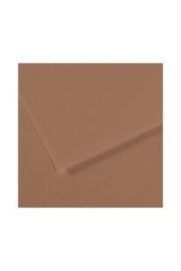 Canson Fon Kartonu (Dokulu) Mı-Teıntes Sh Canmt 50x65 160 GR Brown (10 lu)  188