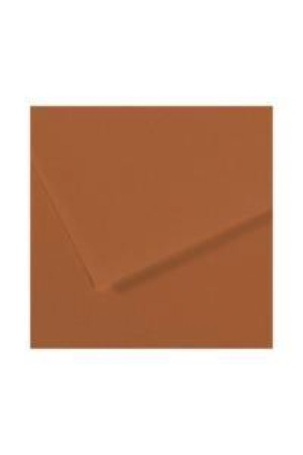 Canson Fon Kartonu (Dokulu) Mı-Teıntes Sh Canmt 50x65 160 GR Brown (10 lu)  187