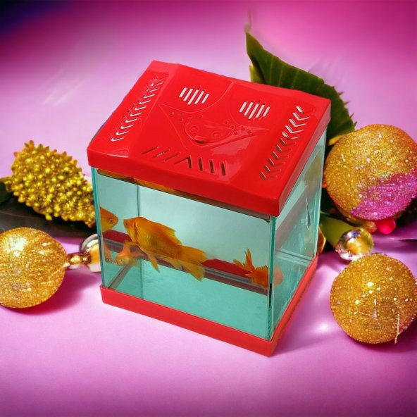 Girist Pet Kırmızı Renk Mini Kare Akvaryum 20x20 cm