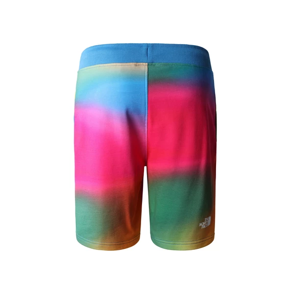 The North Face M STANDARD SHORT LIGHT-EU Erkek Şort NF0A3S4EIAX1 - 2