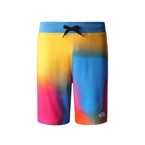 The North Face M STANDARD SHORT LIGHT-EU Erkek Şort NF0A3S4EIAX1