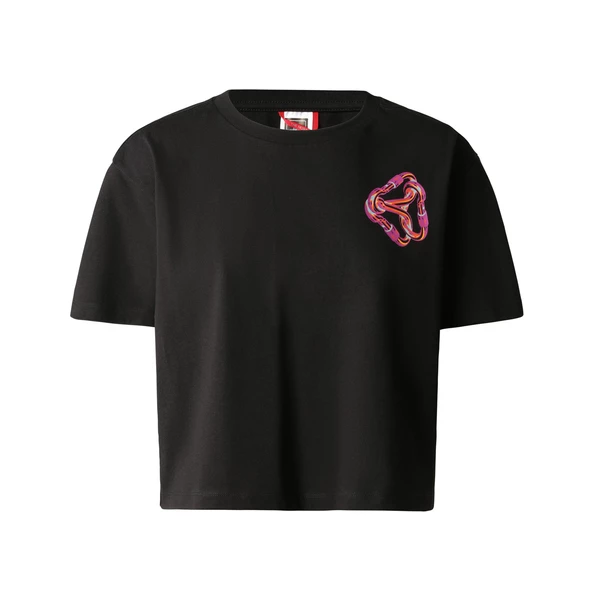 The North Face W GRAPHIC T-SHIRT Kadın T-Shirt NF0A823ZJK31