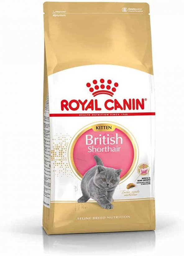 Royal Canin British Shorthair Yavru Kedi Maması 2 KG